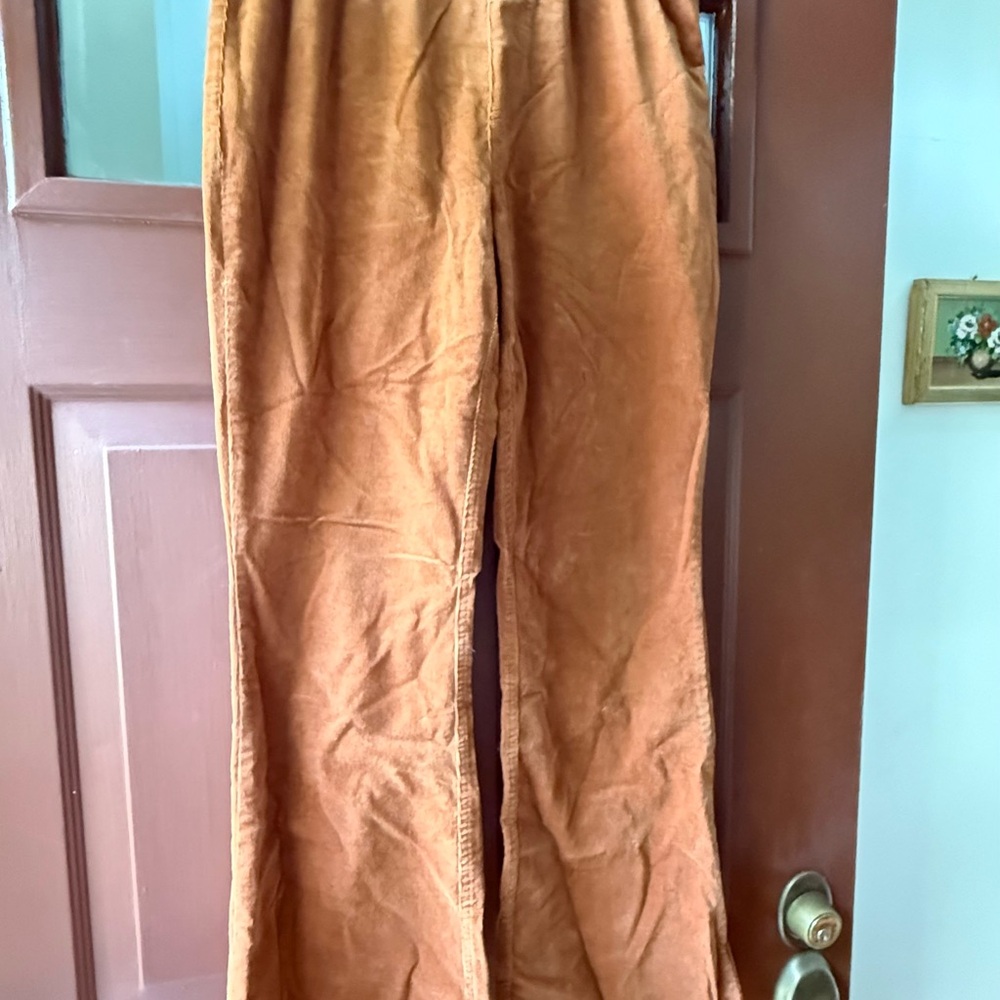 Rust Velvet Wide-Leg Pants